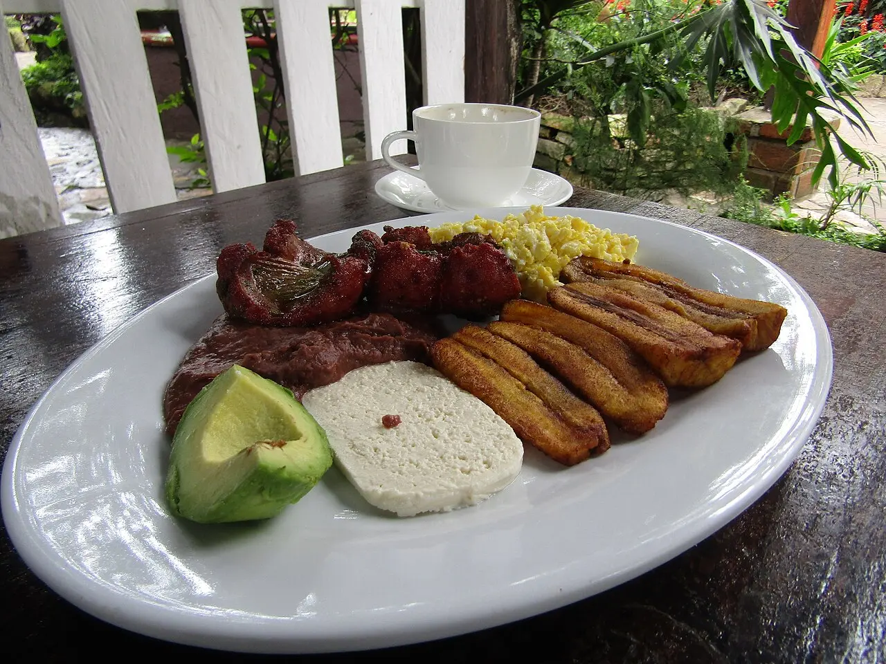 Plato blanco con frijoles fritos, una tajada de queso blanco, medio aguacate, tajadas de plátano maduro frito, huevo revuelto y trozos de carne frita, junto a una taza de café